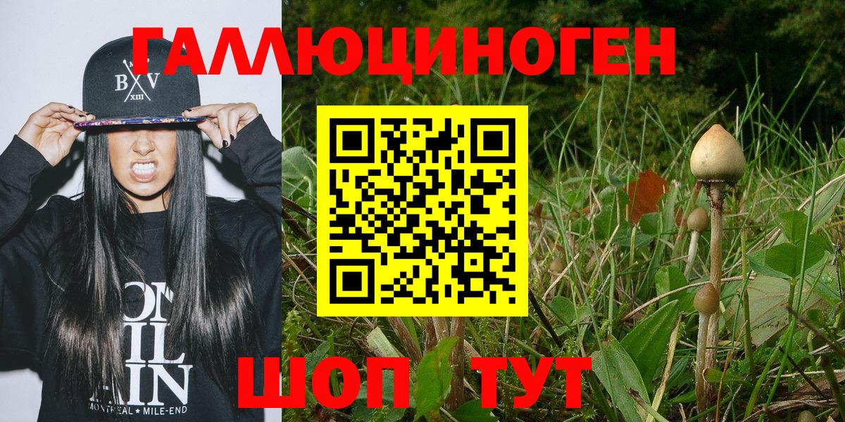 Псилоцибиновые грибы прущие грибы  Вход с VPN  Узловая 